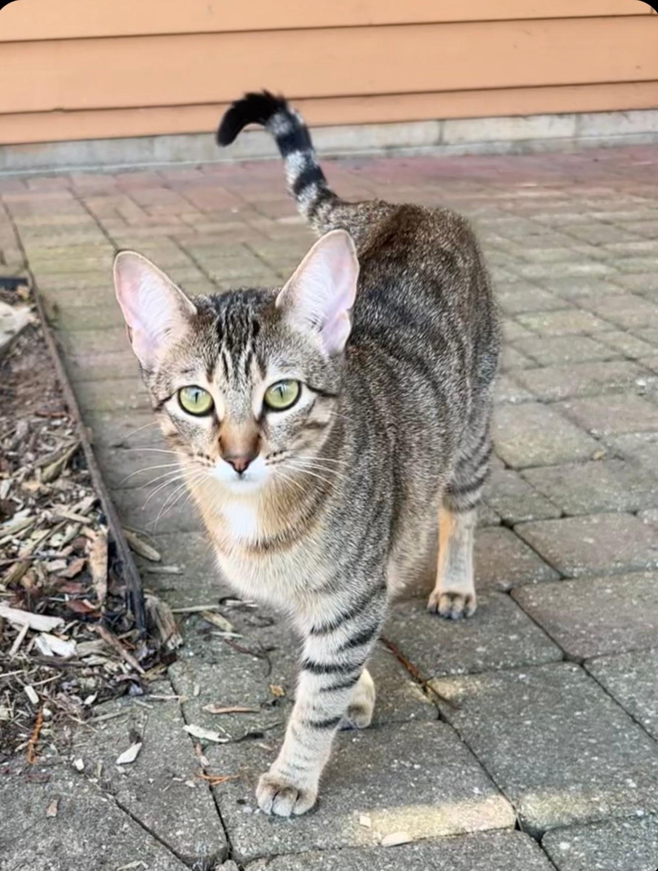 Birdie - Affectionate and loving