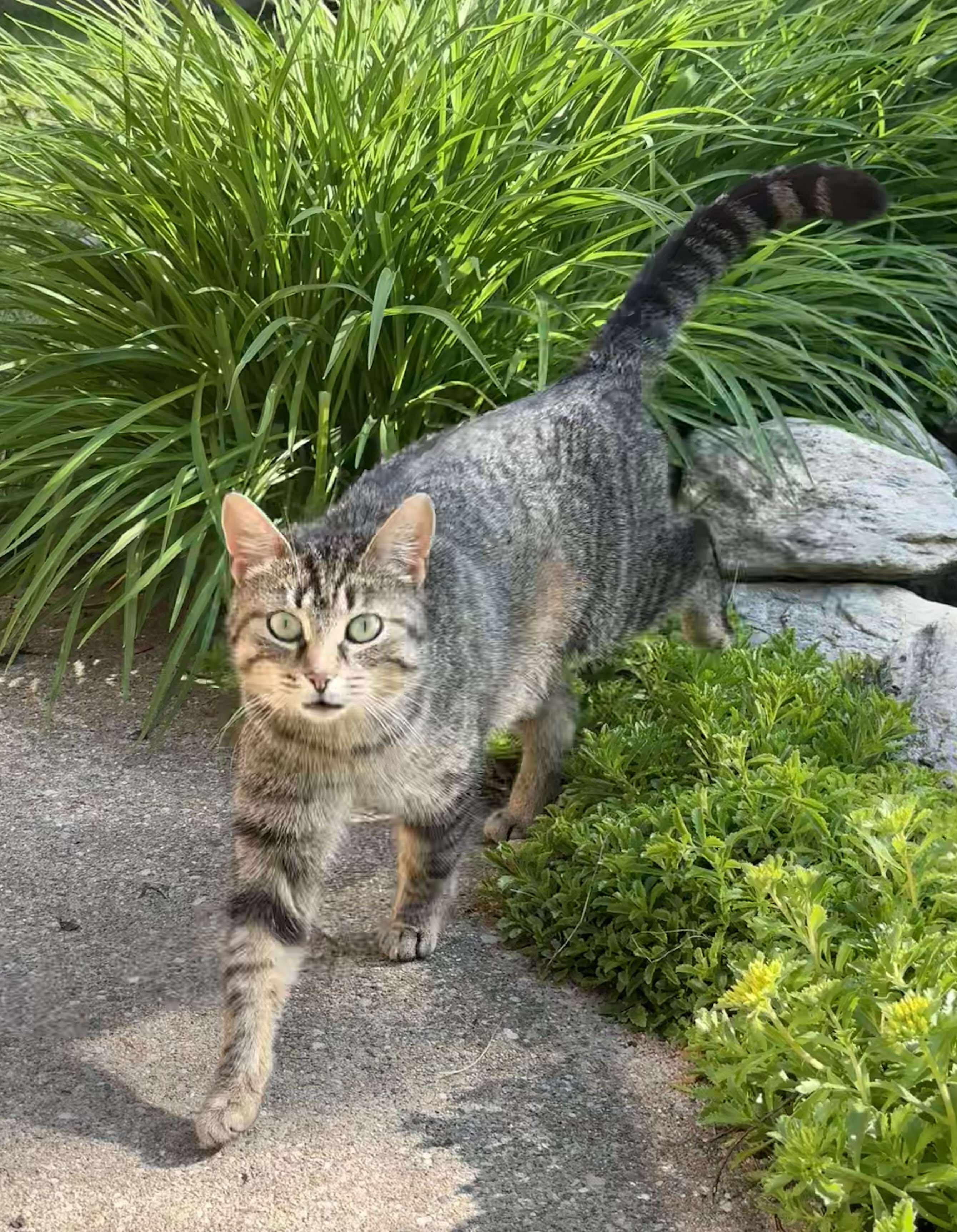 Birdie - Affectionate and loving