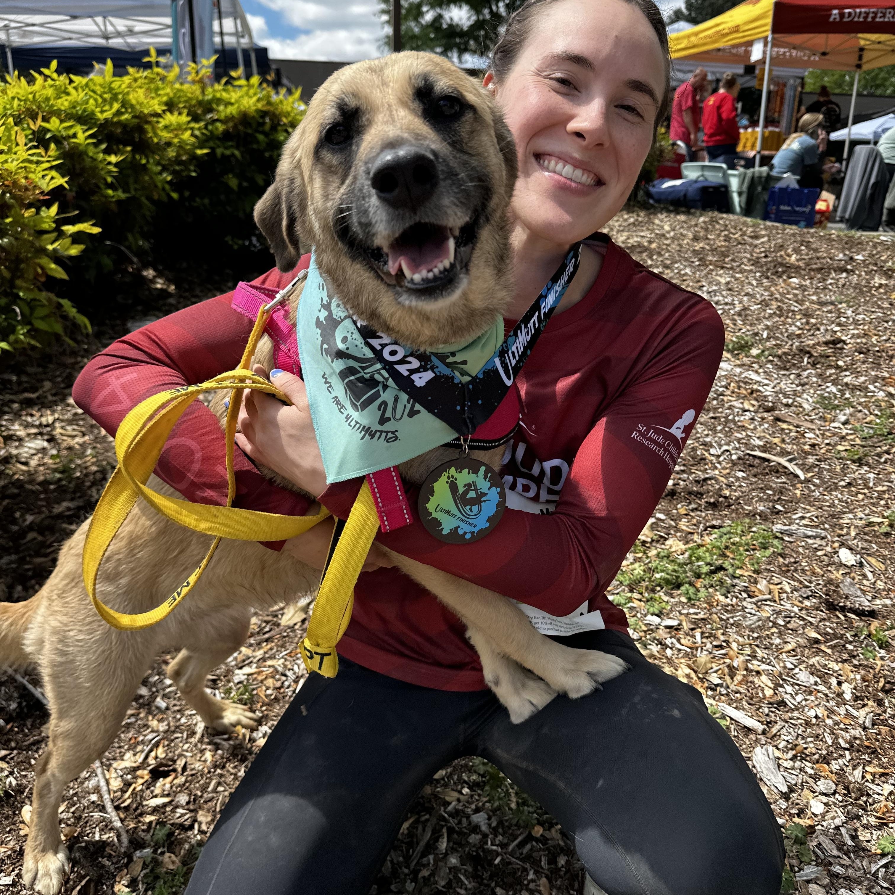Junebug, a Adoptable mixed breed in Sherman, CT image 2/5