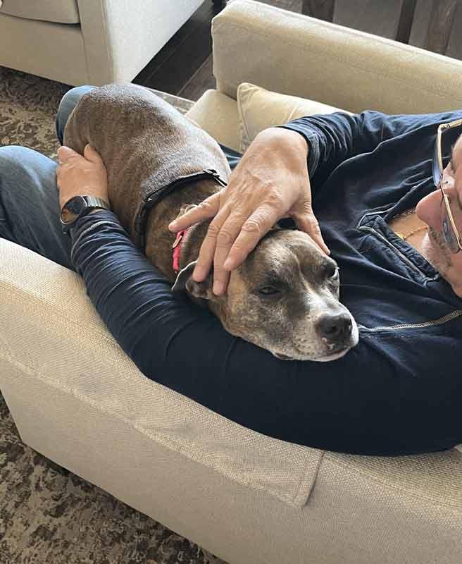 Glynnis, a Adoptable mixed breed in Kennesaw, GA image 4/6