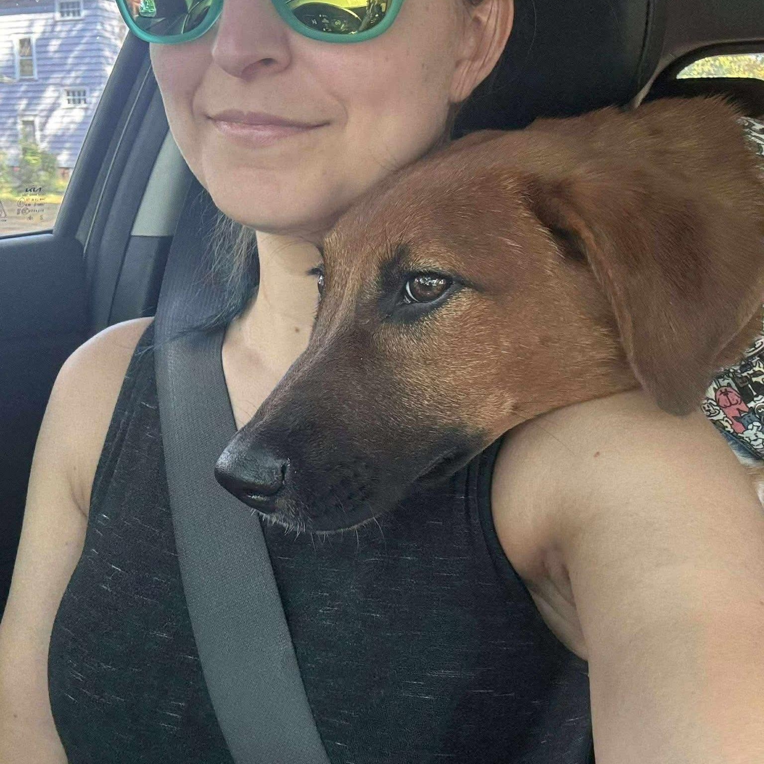 Radar, a Adopted Mixed Breed in Penfield, NY image 4/6