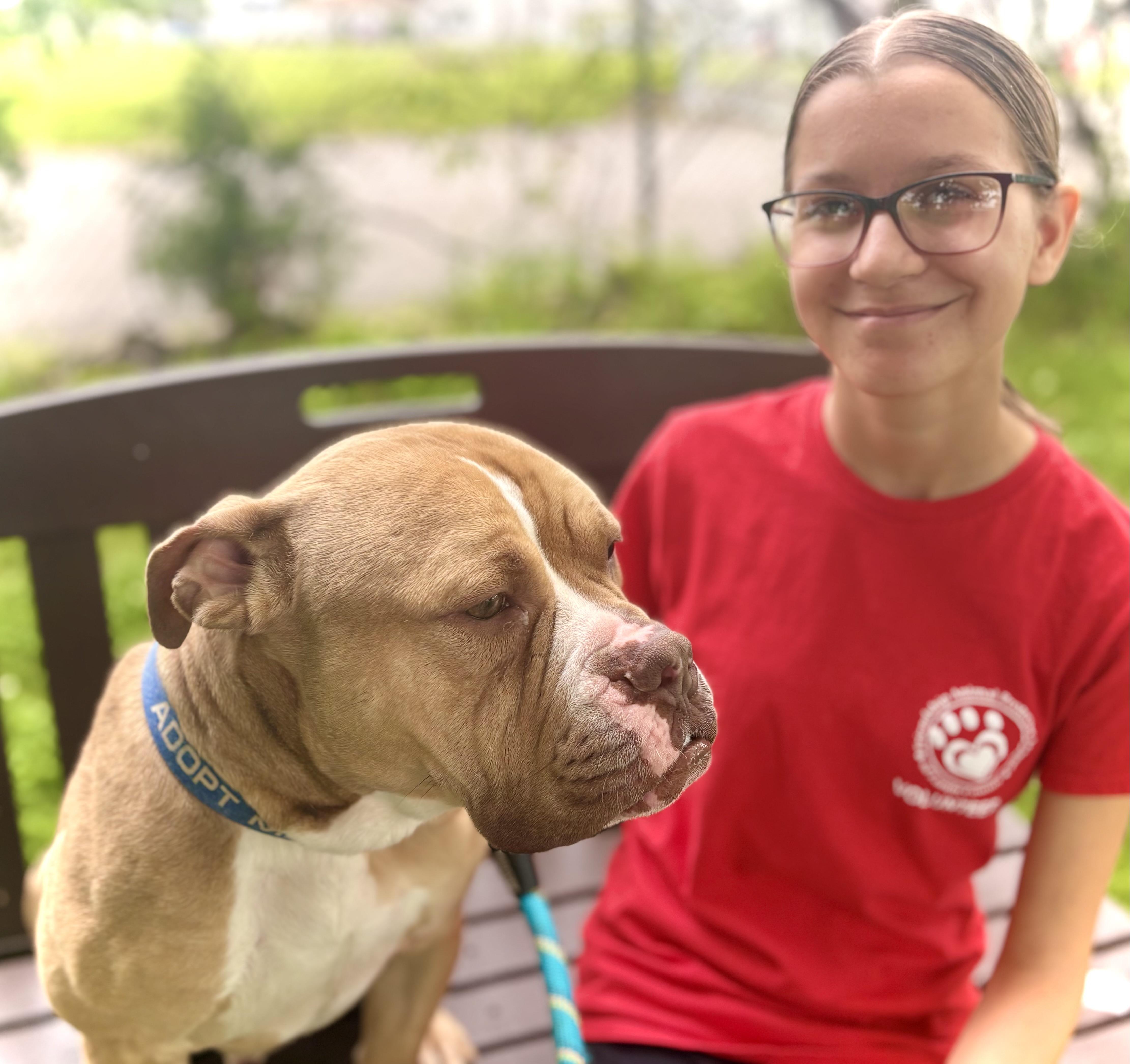 Enlarge Brutus, a Adoptable mixed breed in Elyria, OH image 6/6