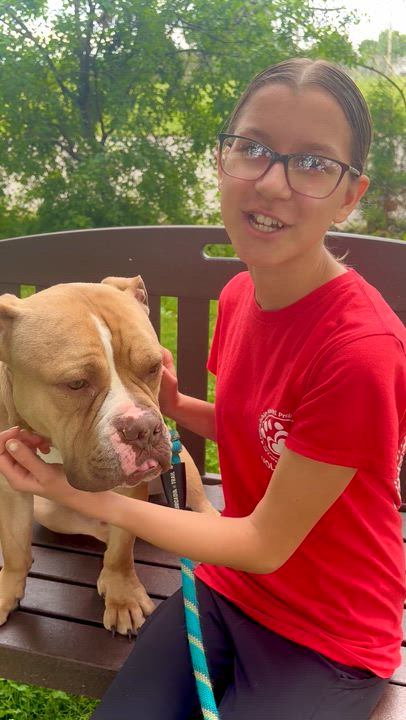 Enlarge Brutus, a Adoptable mixed breed in Elyria, OH video 5/6
