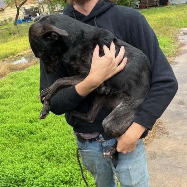 Erica — thumbnail 2