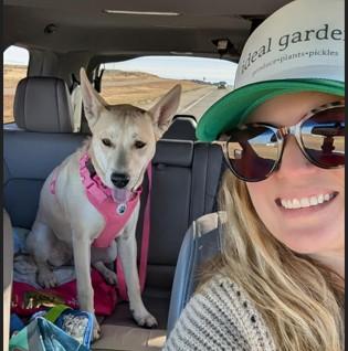 Kamaria, Adoptable, Young Female Husky.