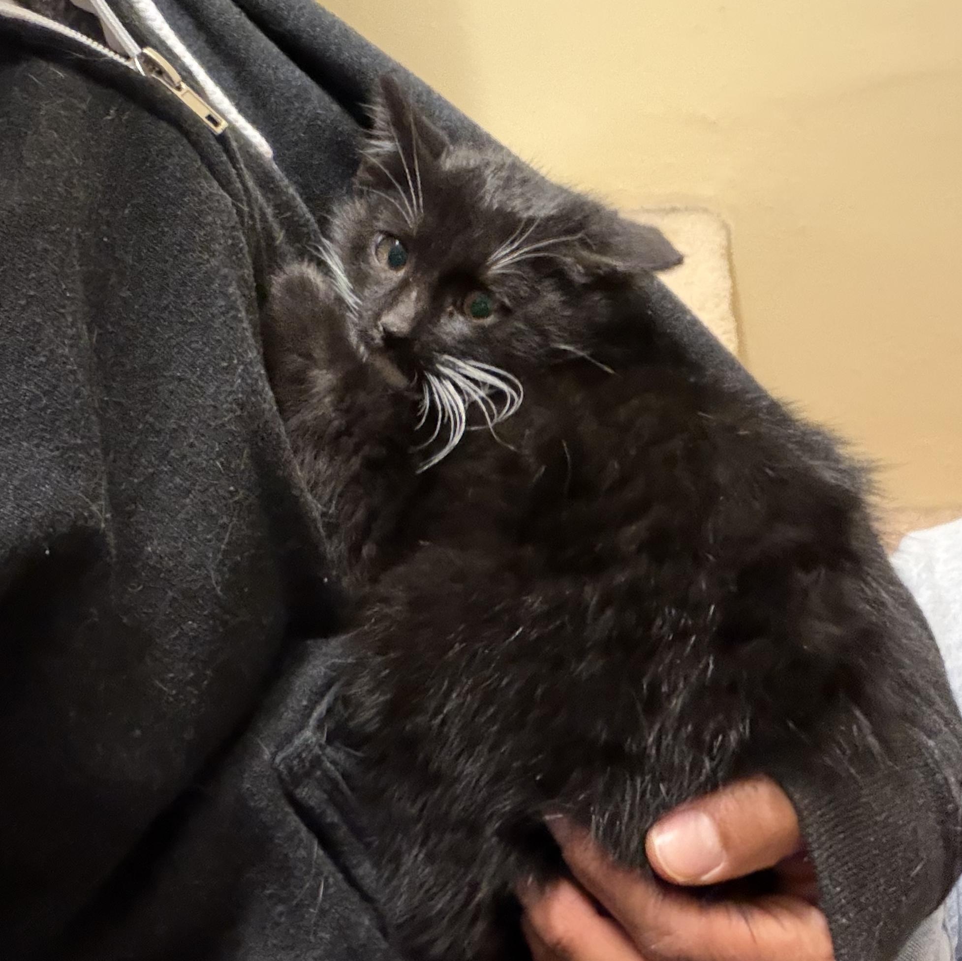 Willy & Gus thumbnail 2