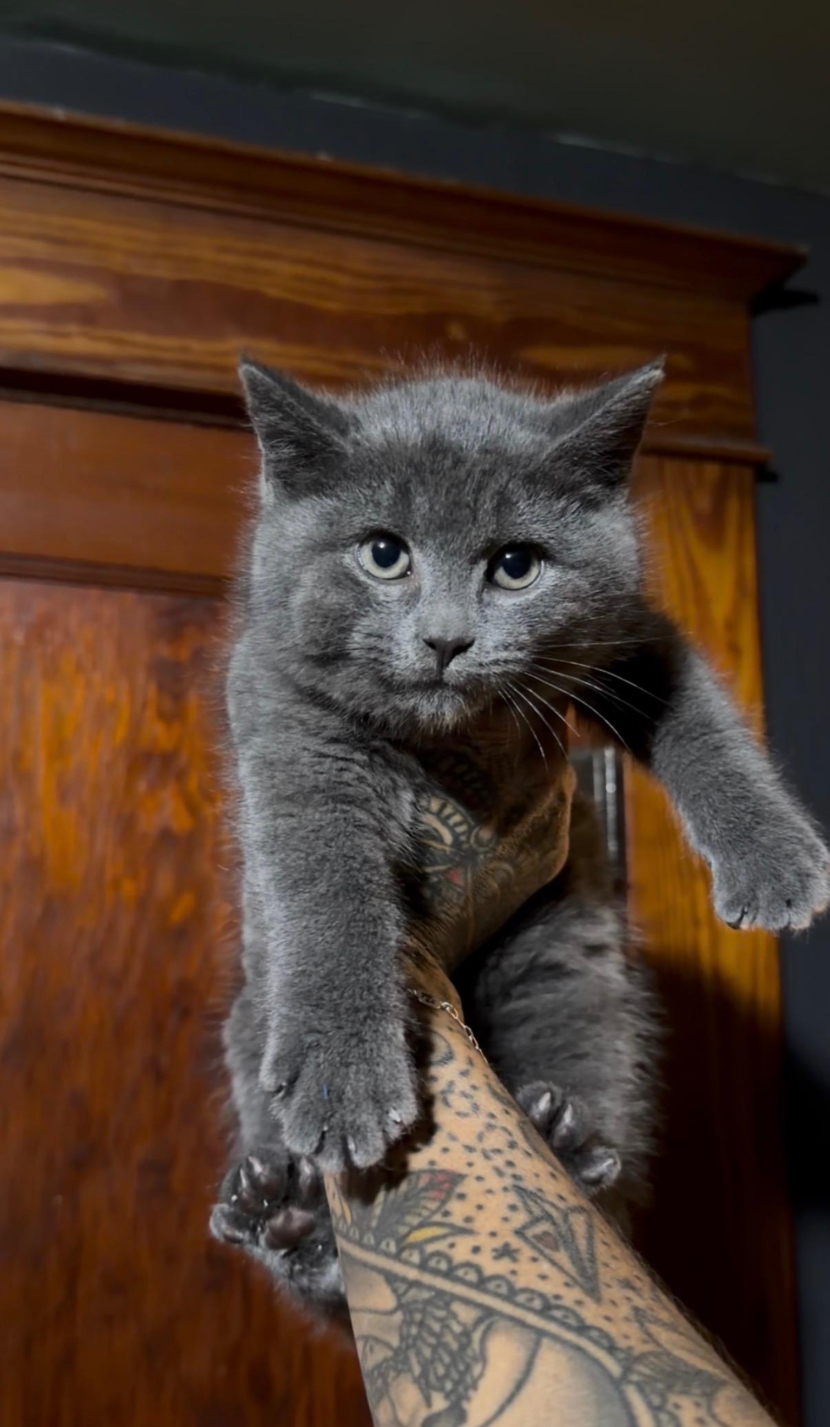 Willy & Gus thumbnail 5