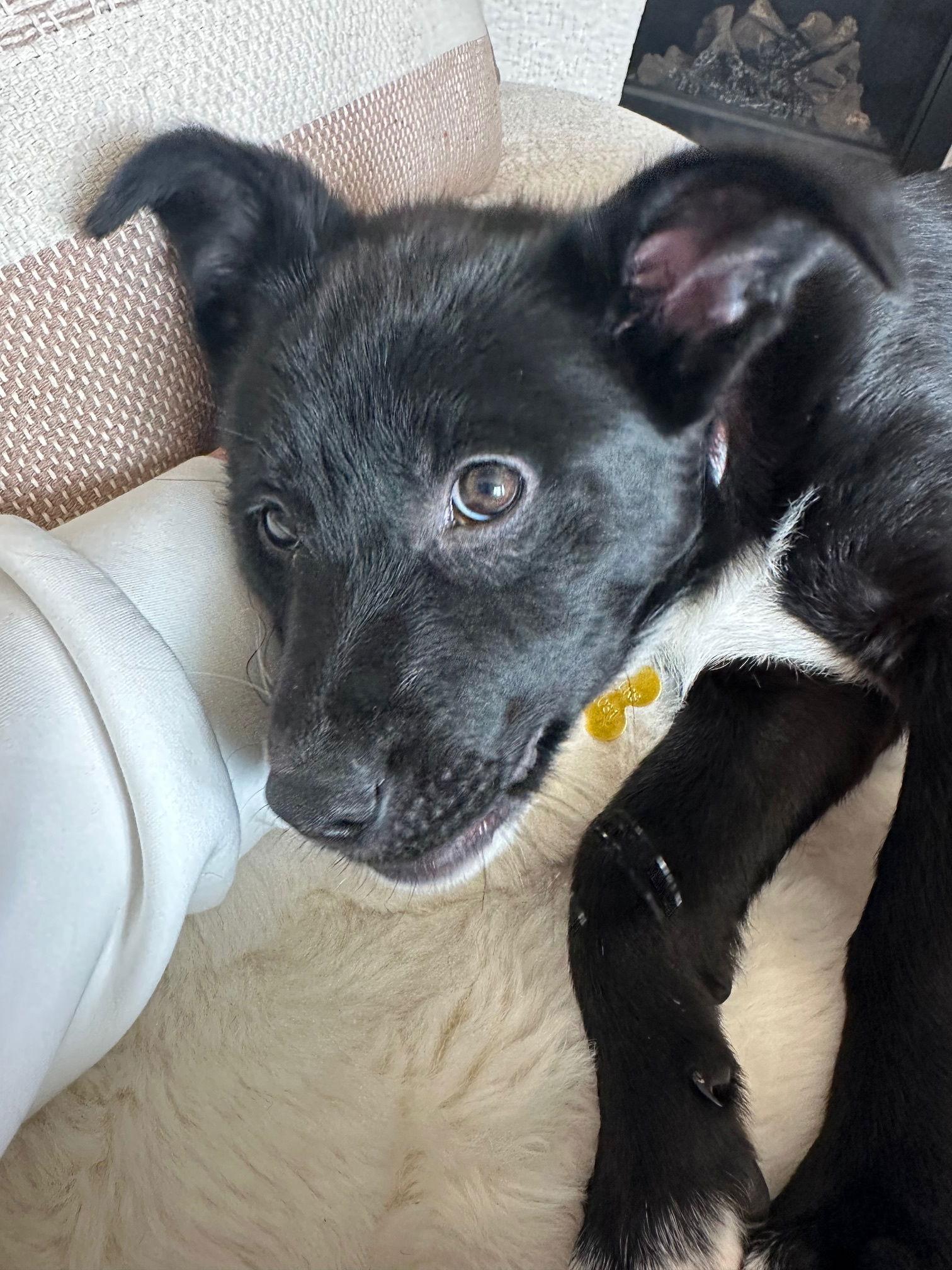 Allee — thumbnail 2