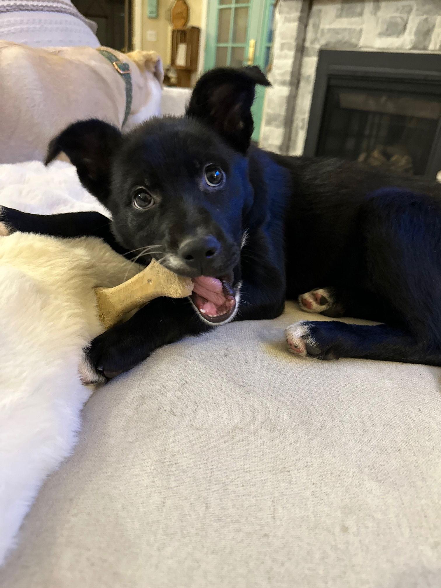 Allee — thumbnail 3