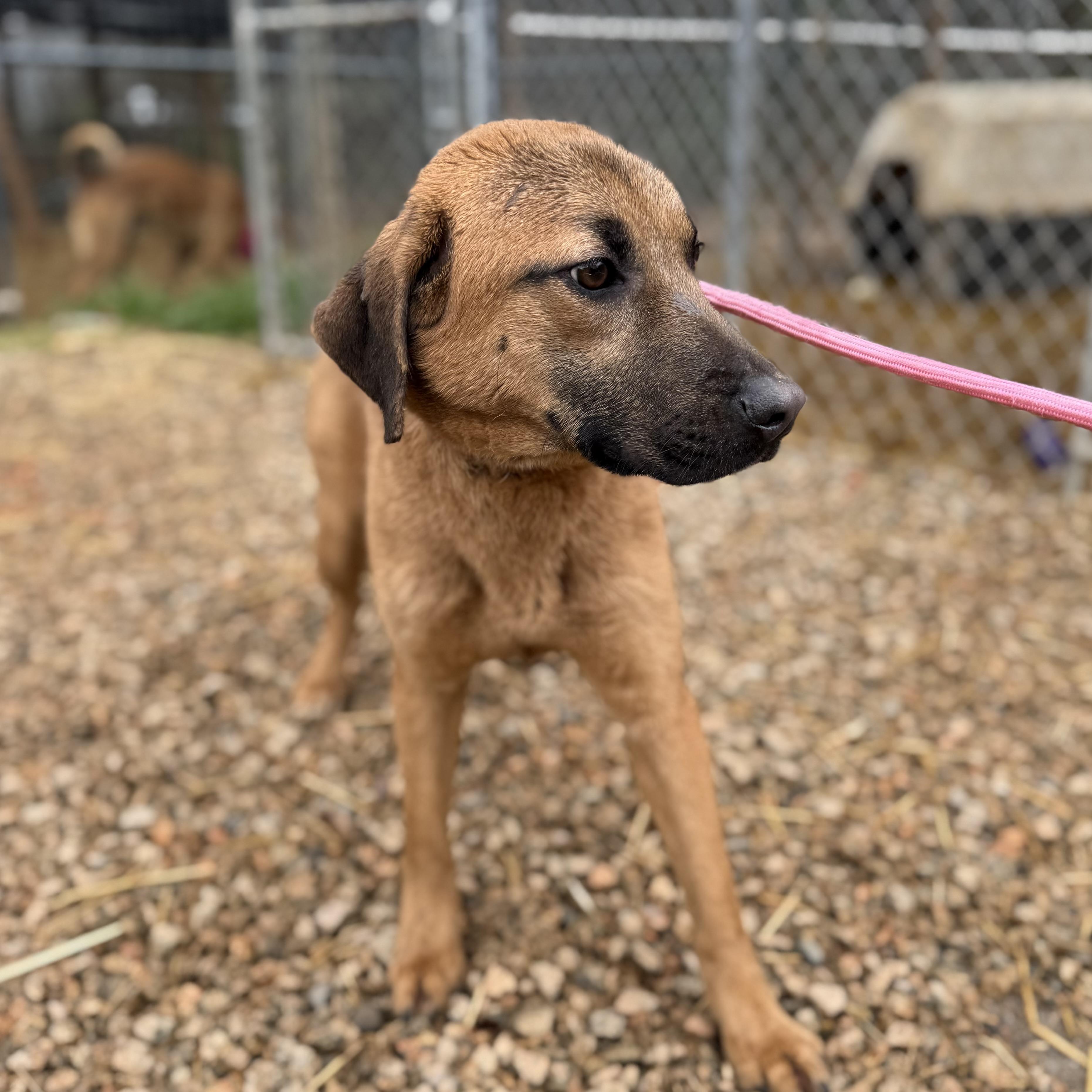 Ello — thumbnail 5