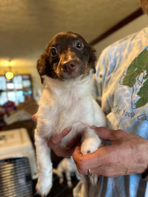 Cosmo Cozy — thumbnail 3