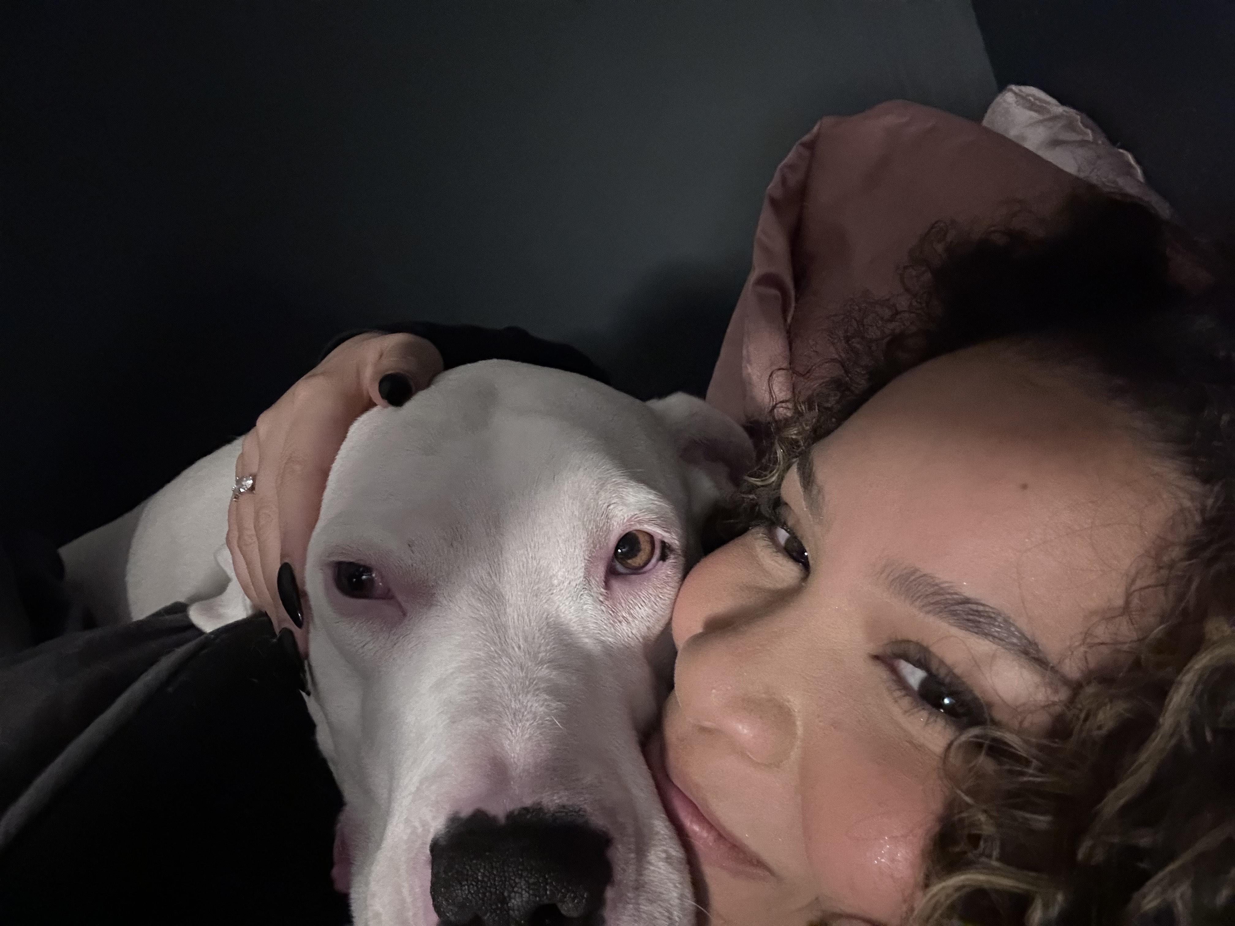 Enlarge LUNA, a Adoptable Dogo Argentino in Waldwick, NJ image 4/4
