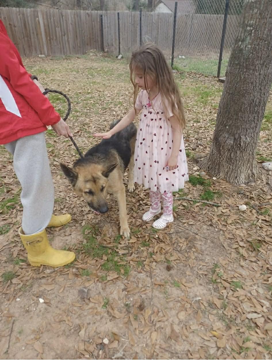 LOUE GS — thumbnail 2