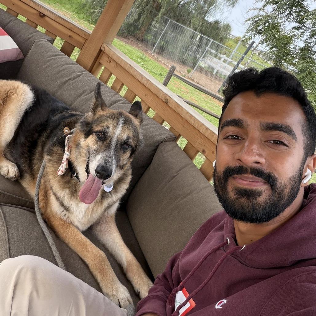 Novi — thumbnail 5