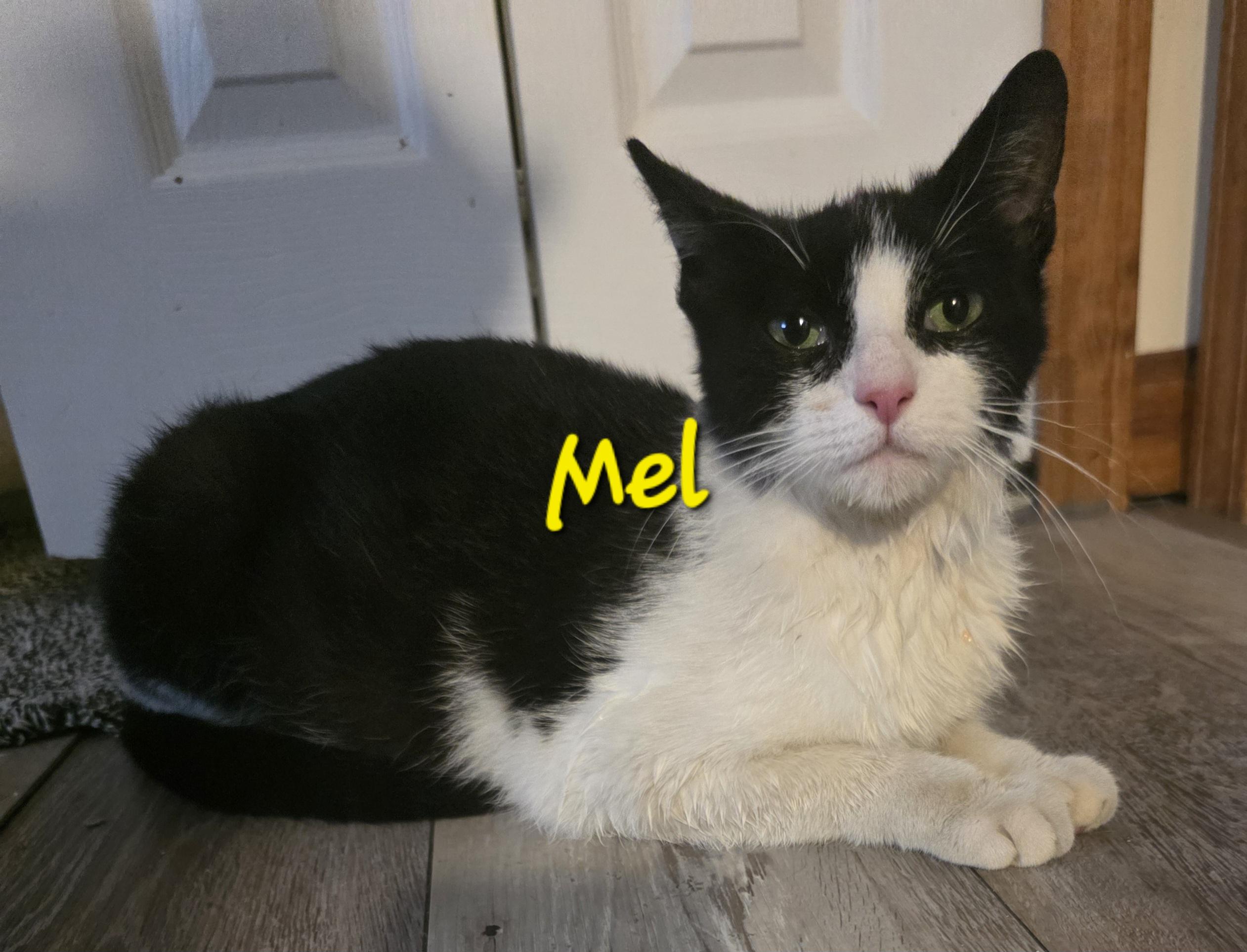 Mel 2