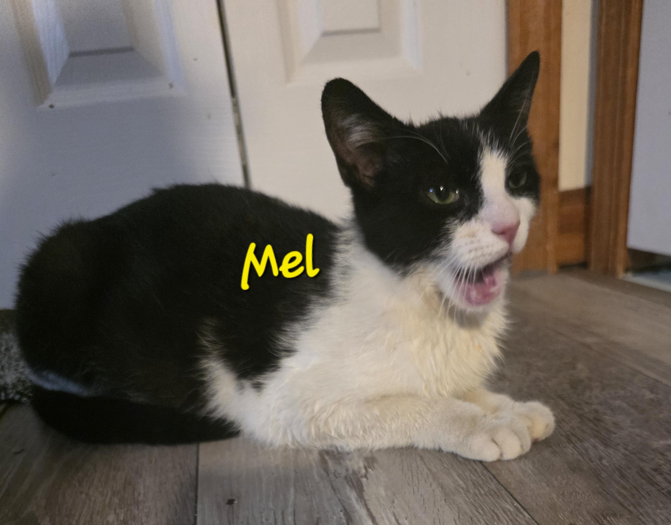 Mel