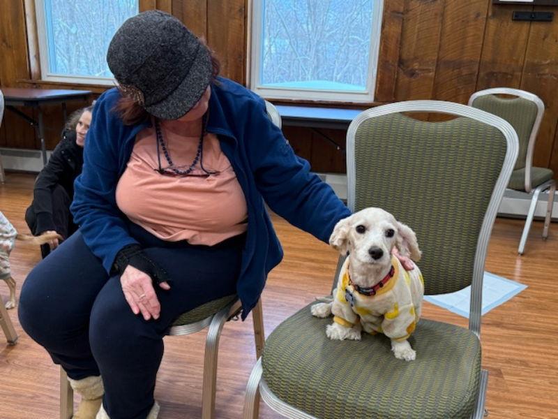 Luzia, a Adoptable mixed breed in East Derry, NH image 3/3