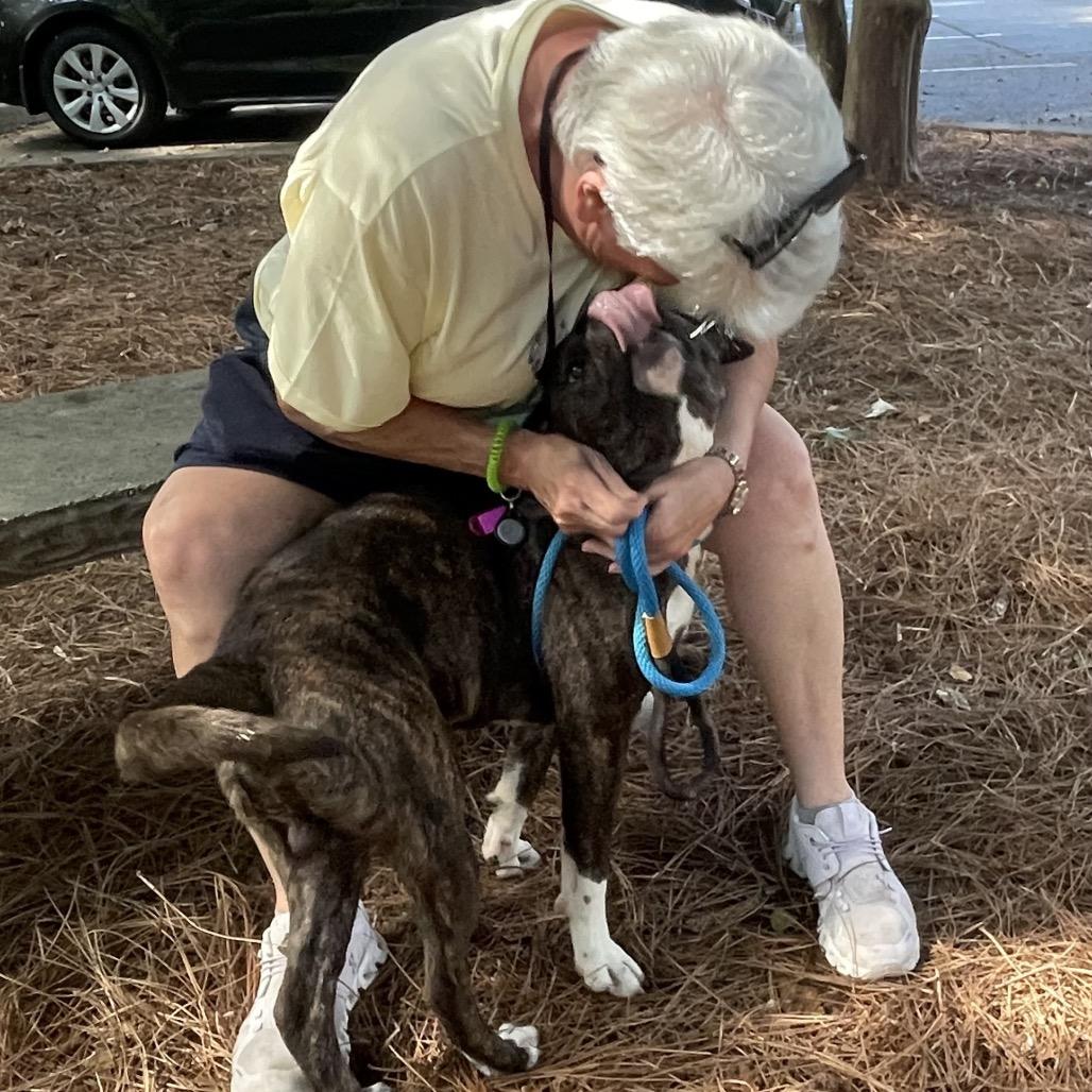 Bones 1908, a Adoptable Mixed Breed in Columbus, GA image 6/6