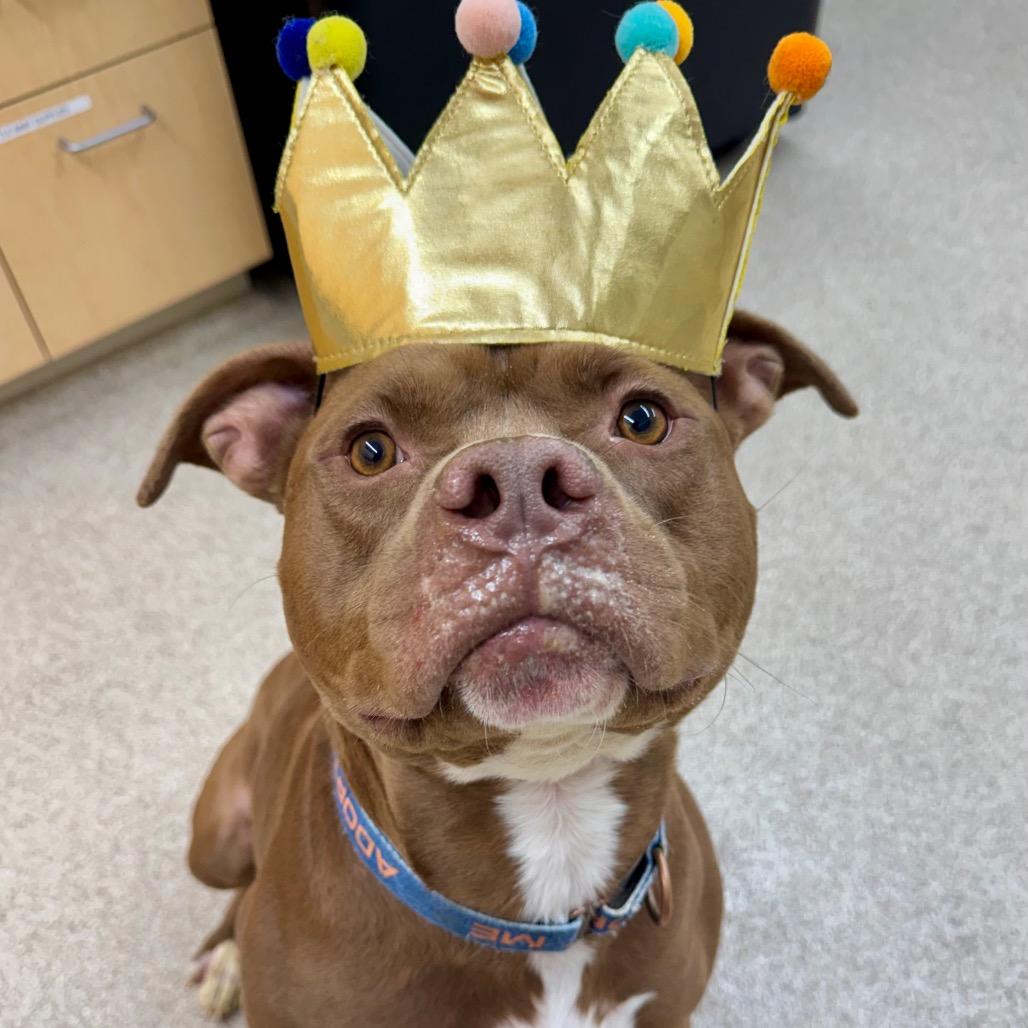 Arlo — thumbnail 5