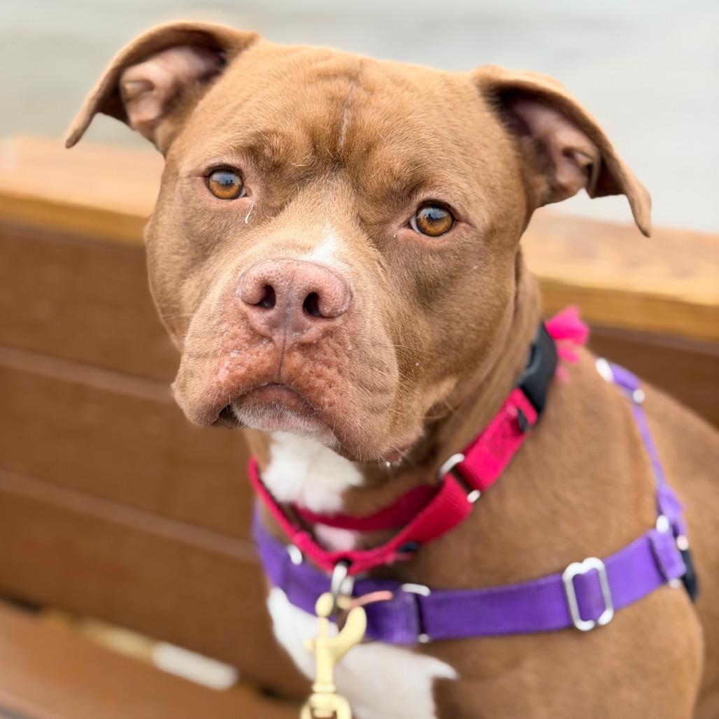 Arlo — thumbnail 6