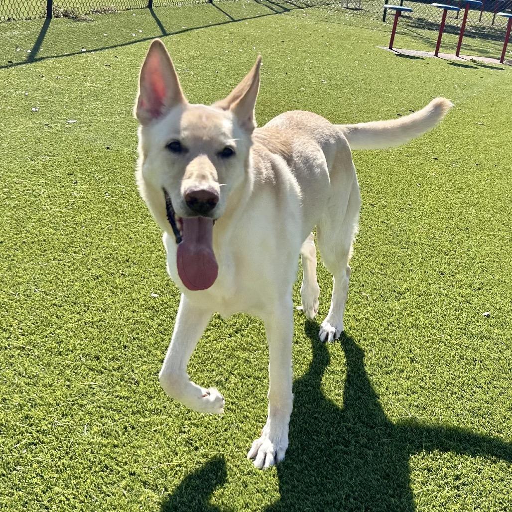 Boonk — thumbnail 2