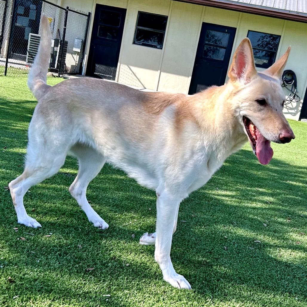 Boonk — thumbnail 4