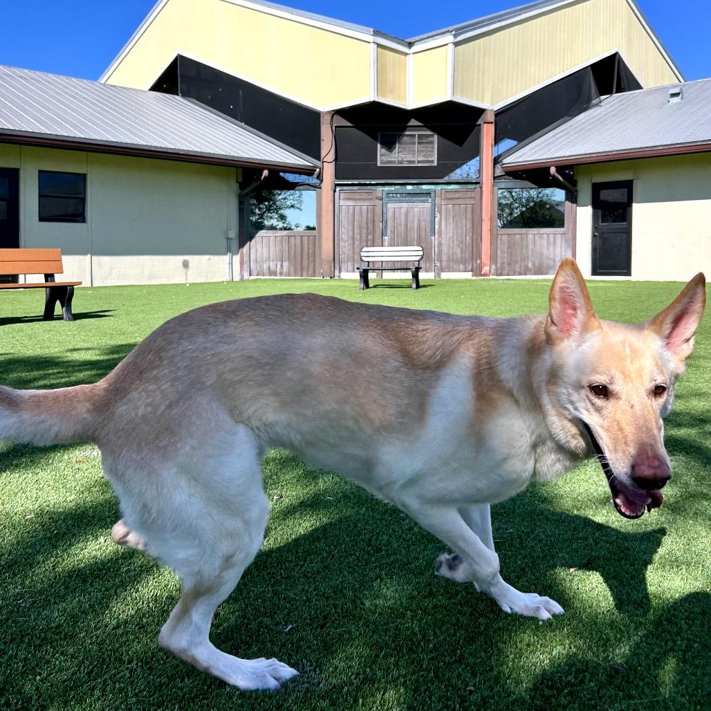 Boonk — thumbnail 5