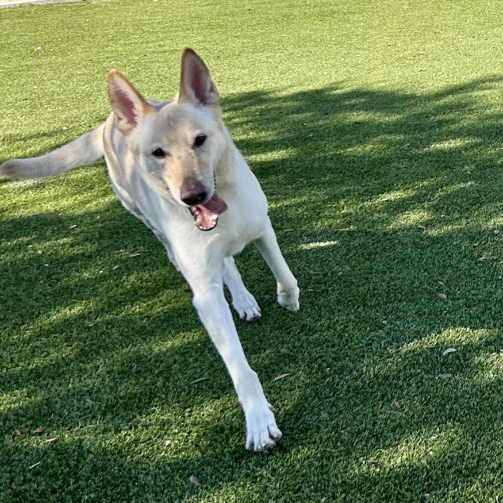 Boonk — thumbnail 6