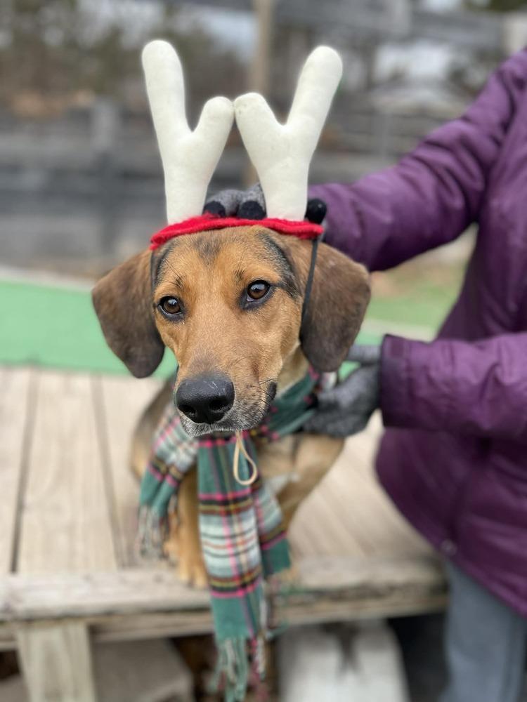 Squirt — thumbnail 3