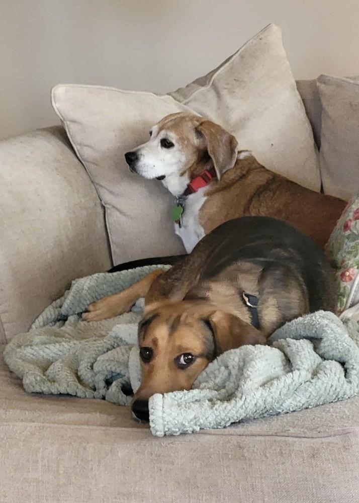 Squirt — thumbnail 4