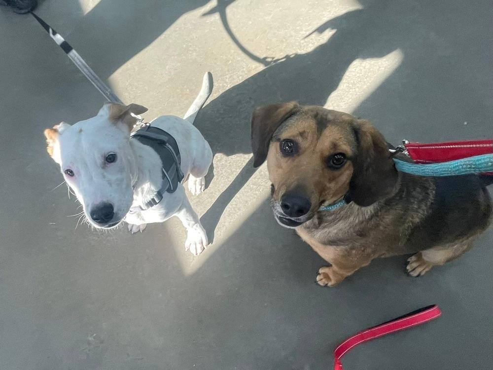 Squirt — thumbnail 5