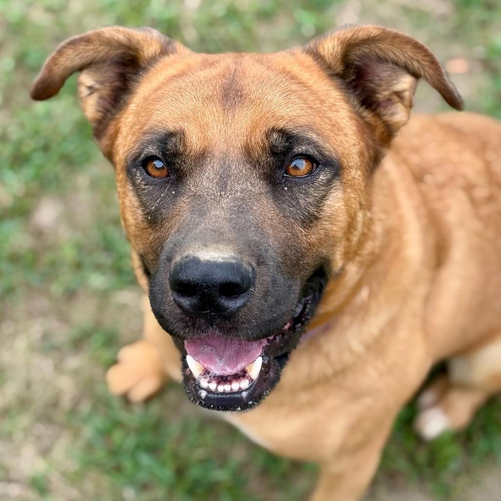 Mary Grace thumbnail 2