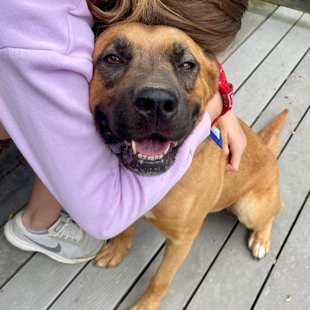 Enlarge Mary Grace, a Adoptable mixed breed in Metamora, MI image 2/6