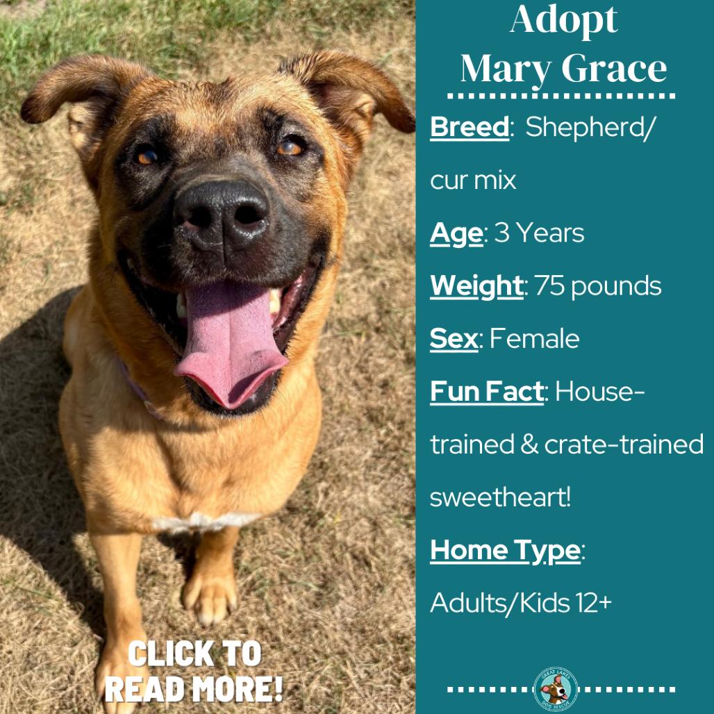 Mary Grace thumbnail 5