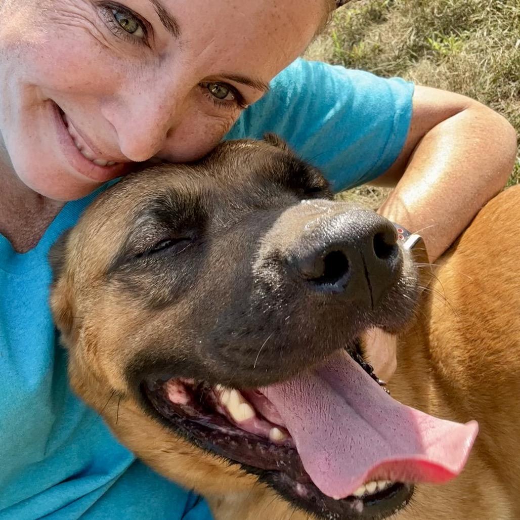 Enlarge Mary Grace, a Adoptable mixed breed in Metamora, MI image 6/6