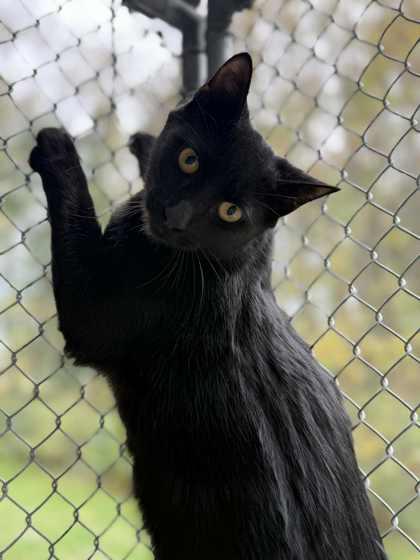 Skeet Ulrich thumbnail 2