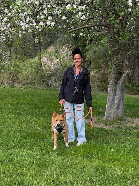 Enlarge Cowboy, an adoptable mixed breed in Libby, MT image 4/6