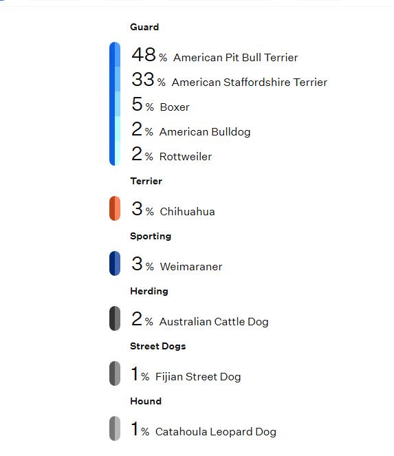 Enlarge Pablo, a ADOPTABLE mixed breed in Omaha, NE image 4/4