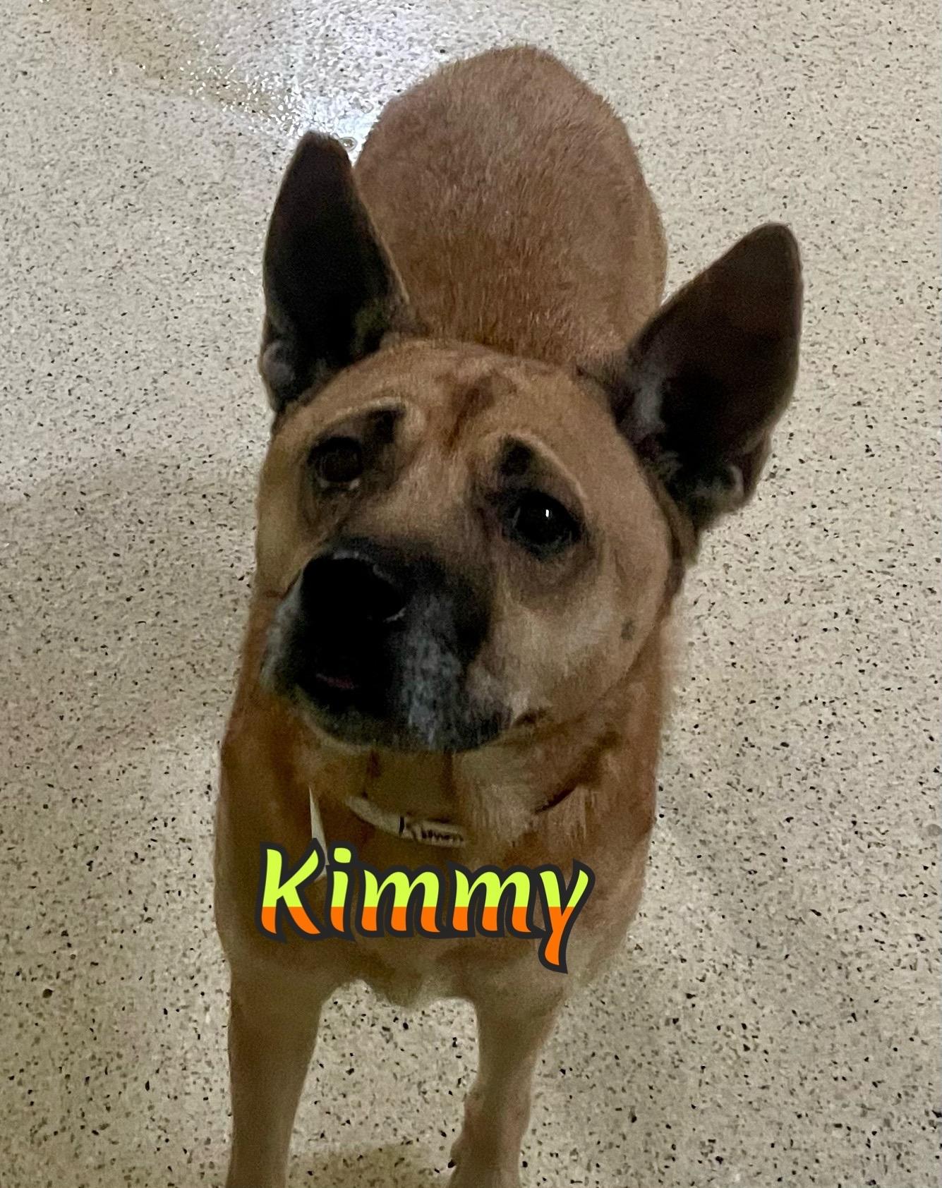 Kimmy photo 2