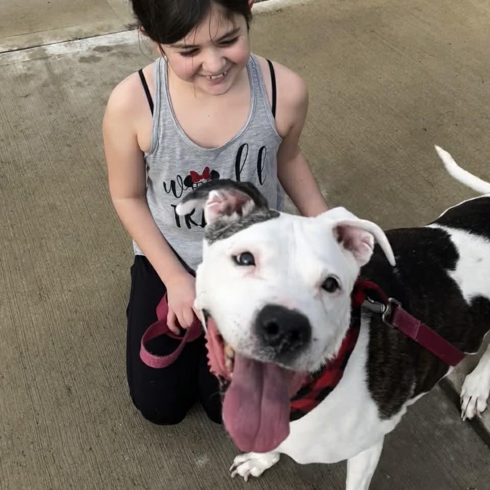 Gloria — thumbnail 2