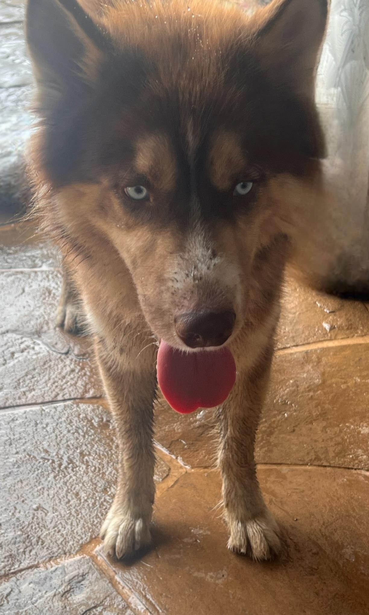 COGNAC...located in Texas