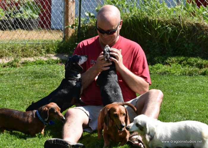 Enlarge Click names for details, a Adoptable Dachshund in Spokane, WA image 1/9