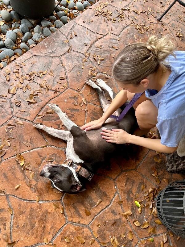 UziBoo Berry Bounce House — thumbnail 4