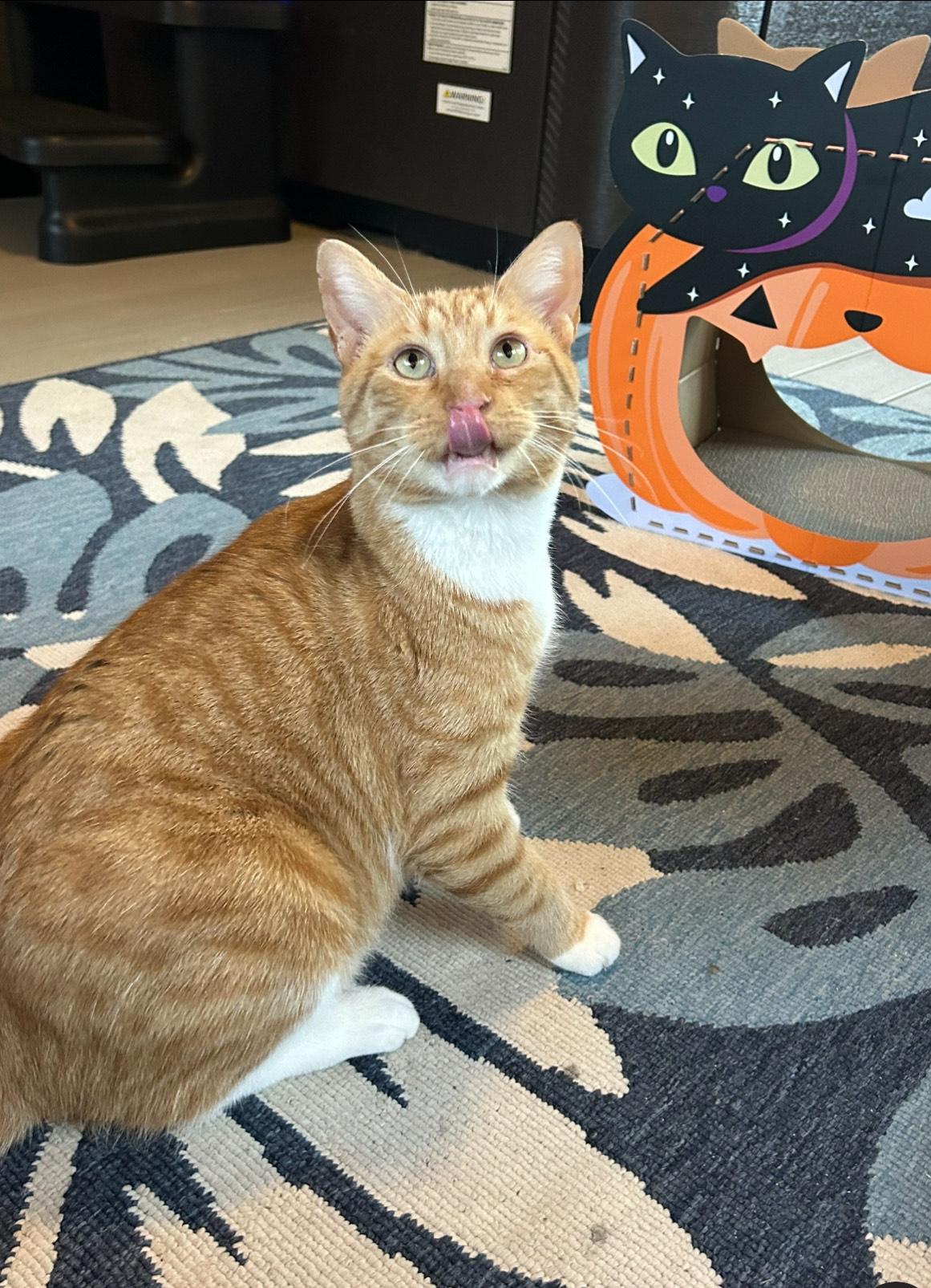 Mac