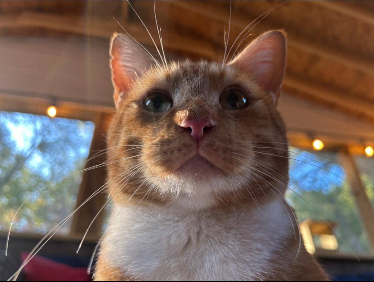 Mac