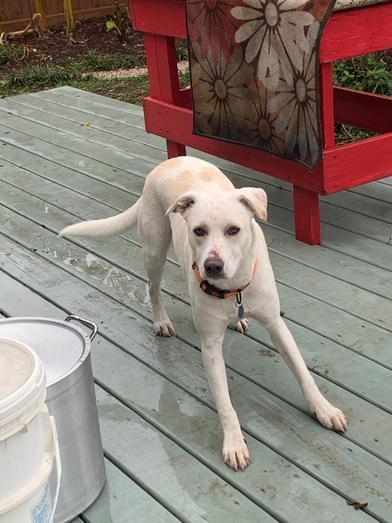 Sailor — thumbnail 4