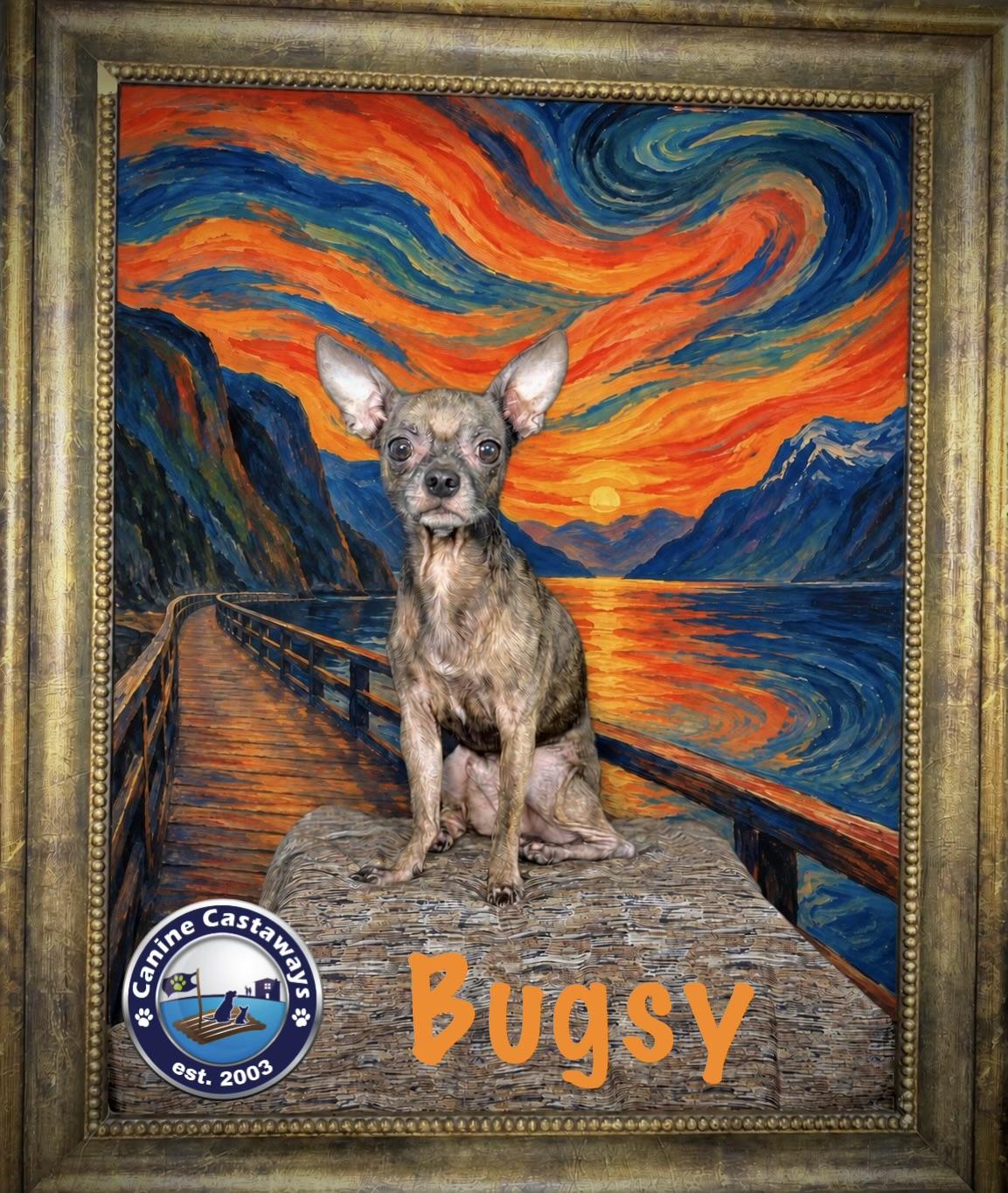 Enlarge Bugsy, a Adoptable mixed breed in Arcadia, FL image 3/5