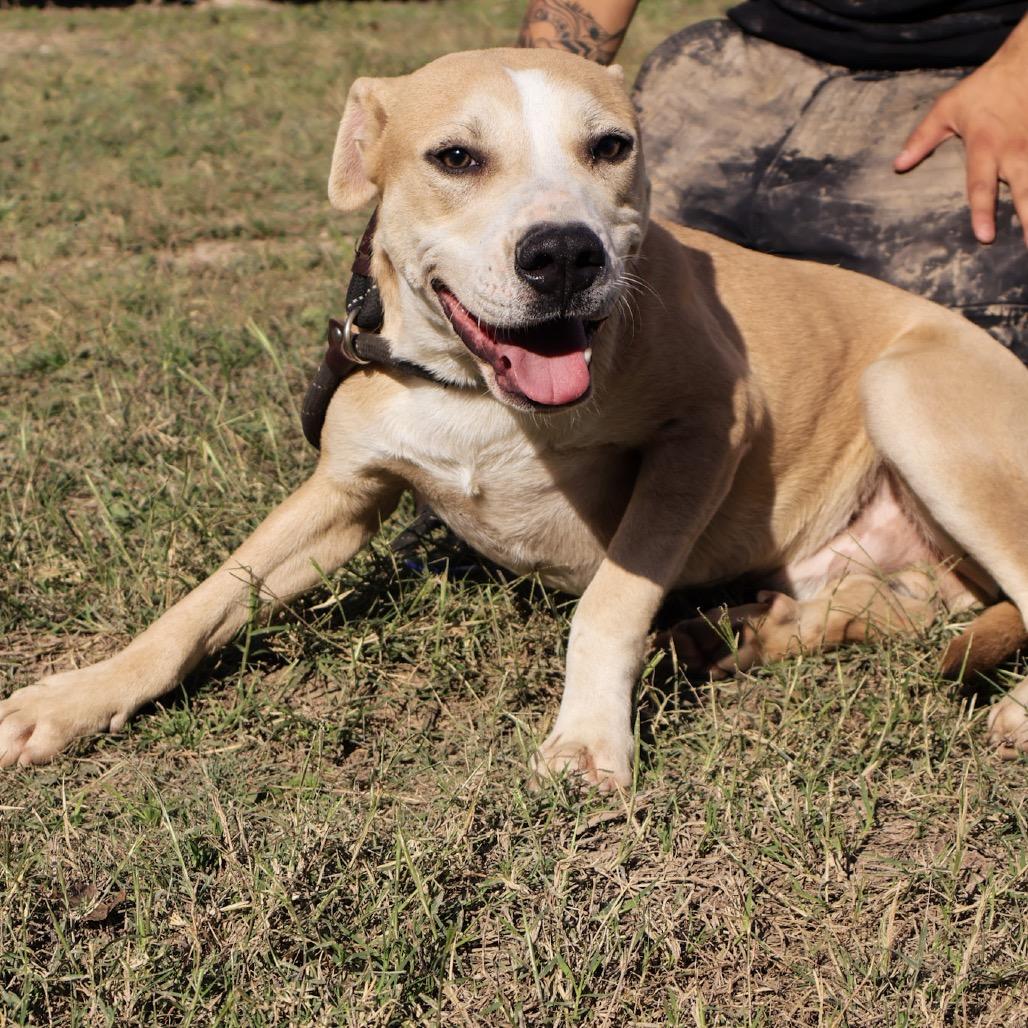 Sandler JuM — thumbnail 5