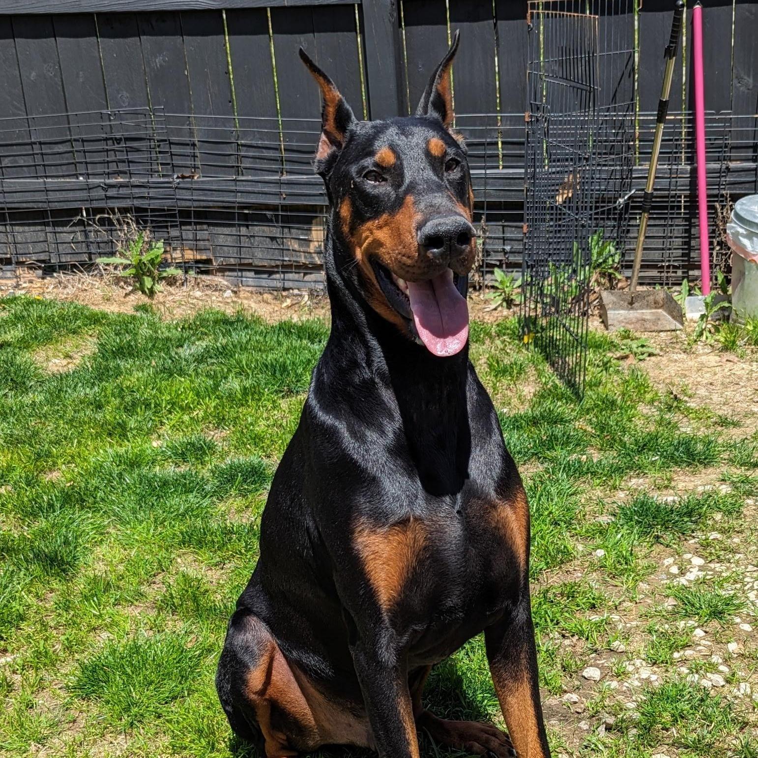 Duncan