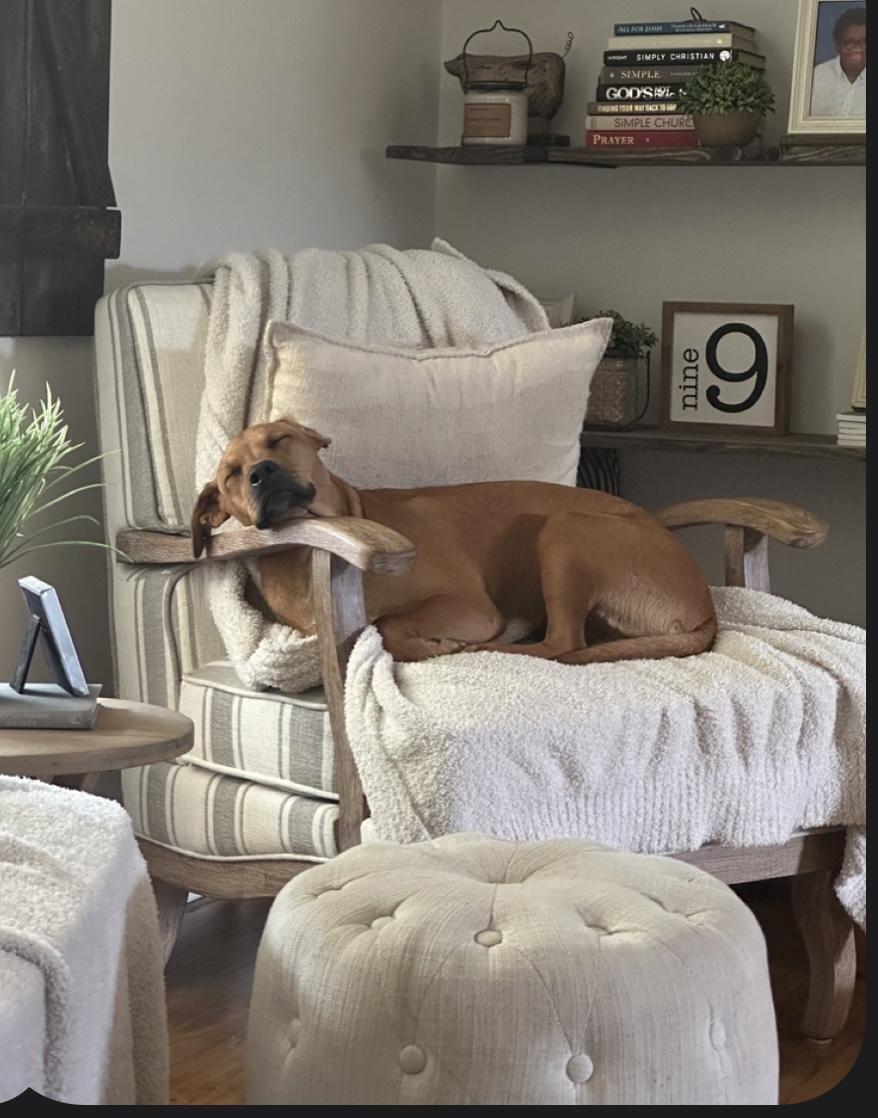 CAM……THE SNUGGLE BUDDY!!!!